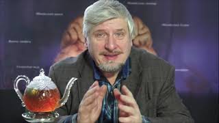 Наука и Мозг |ассоциативные зоны коры мозга| 009