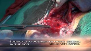 Surgical management of otitis externa in the dog