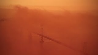 Красное небо над Сан-Франциско: американский город затянуло мглой после лесных пожаров