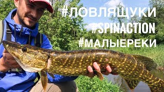 Ловля щуки на малых реках. Беларусь. Река Эсса.