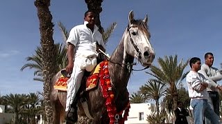 Tunesien - Djerba - Die stolzen Reiter