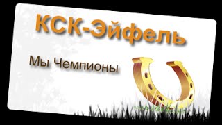 КСК Эйфель, Выступление лошадей в школе