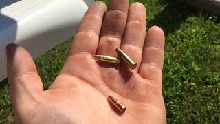 Swapping Bullets: .223 Bullet in a 22LR