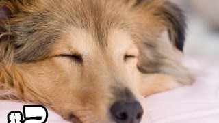 Let's Play Sleeping Dogs - Part 2: Everyone's Mean