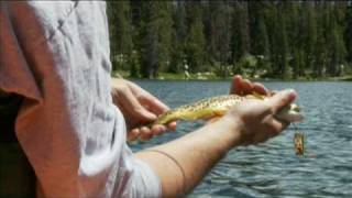 Fishing the Uinta Mountains