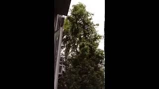 Rajat takevan ki video