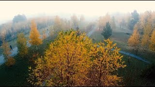 Осень в Сургутском тумане  | dron vs fog | Drone Footage