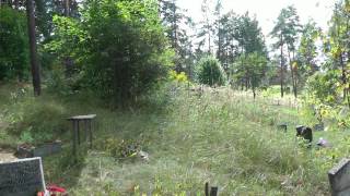 Daugavpils 2012     Смотри!...уже  не живые, ещё  не мёртвые...