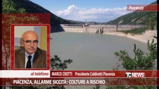 Piacenza, allarme siccità: colture a rischio