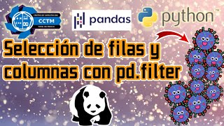 ???? ¿Para qué sirve filter? | Selección de columnas y filas | Pandas | Python