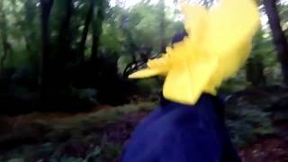 weird creature loses his cool.exe