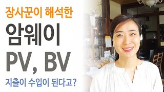 장사꾼의 관점으로 말하는 암웨이 PV BV