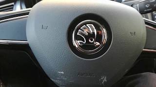 Skoda Rapid Yandex Drive Car Sharing test ...