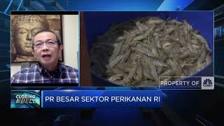 Apindo: Ketidakpastian Aturan Hambat Investasi Sektor Perikanan