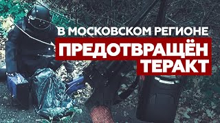 ФСБ предотвратила теракт в Московском регионе — видео
