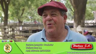 22-01-20 - Gustavo Lasayette - Productor - Wallace Hnos. S.A. - Azul