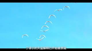 天空为什么是蓝色？原因终于找到，看完后恍然大悟