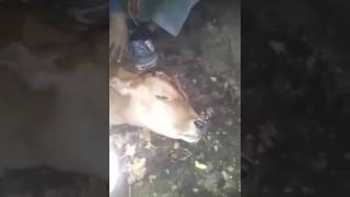 Аллаху акбар !!!!!!!!!!!!!!!!!!!!!