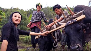 Bhutan: Happiness at Attention | Full Documentary
