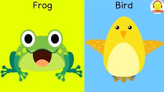 กบรวมร่างกับนก Frog Bird Fusion Animation เพลงกบ + เพลงนก
