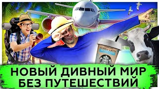 Новый дивный мир без путешествий | Снижение туризма | Карантин 2020