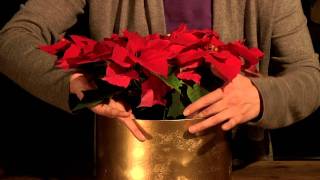 Dekorationsideen für den Fachhandel "Das Geschenk"
