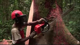 Deadliest Journeys - Gabon