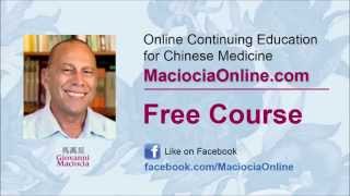 Giovanni Maciocia Lecture on GUI: Ghosts and Spirits in Chinese Medicine