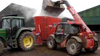 beef farming scotland part 2