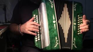 Игра баяниста, гармониста на торжестве Tel 0176 763 57953 -Бавария