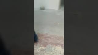Preparación de superficie con escarificado