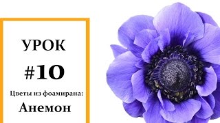Анемон мастер класс, Фоамиран цветы, Мастер класс из фоамирана Foam Flouwers