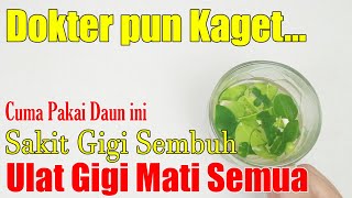 JANGAN BURU-BURU MINUM OBAT, SEMBUHKAN SAKIT GIGIMU DENGAN SEGELAS MINUMAN INI