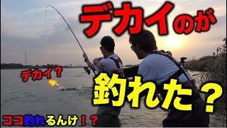 無双パターンで！ハードの竿をブチ曲げる程のデカイのが釣れた？