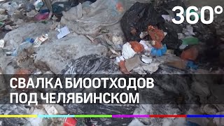 Ампутированные конечности и органы нашли на свалке под Челябинском