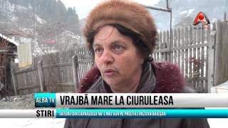 VRAJBA MARE LA CIURULEASA