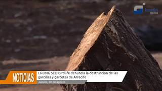 Denuncia garcillas y garcetas