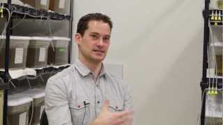 Snail research preventing illness and infection locally and globally