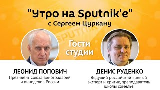 "Утро на Sputnik'e": что не так с молдавским вином – мнение российских экспертов