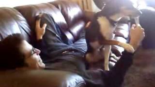 Cutest dog ever: "don't stop petting me!"