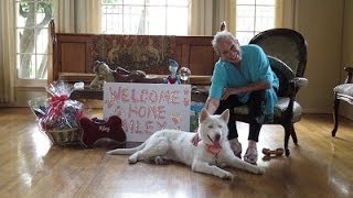 Home Sweet Home, Miley! - The Fuzzy Pet Foundation