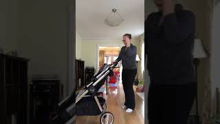 RECARO Performance Denali Luxury Stroller Review