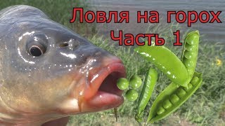 Рыбалка с ночевкой. Ловля на горох.ЧАСТЬ 1.My fishing