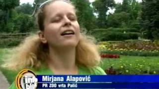 Mladunci u ZOO vrtu