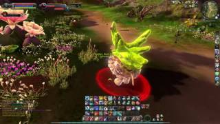 Aion Ranger 4.9 PvP Open World 3