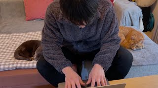 カワウソさくら カワウソと猫のサンドイッチ！ Otter and cat sandwiches!