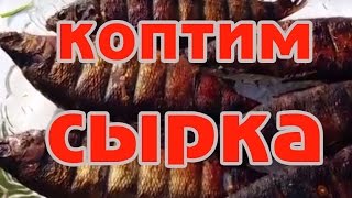 Как закоптить рыбу на даче, сырок горячего копчения