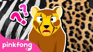 ¿Vieron las Manchas del Guepardo? | Animales para Niños | Pinkfong en español |Canciones ​Infantiles