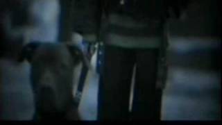 Boss -Rahovecli- Si Jokeri