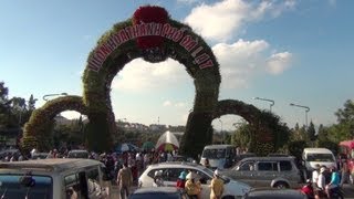 Vườn hoa Thành phố Đà Lạt - 2013